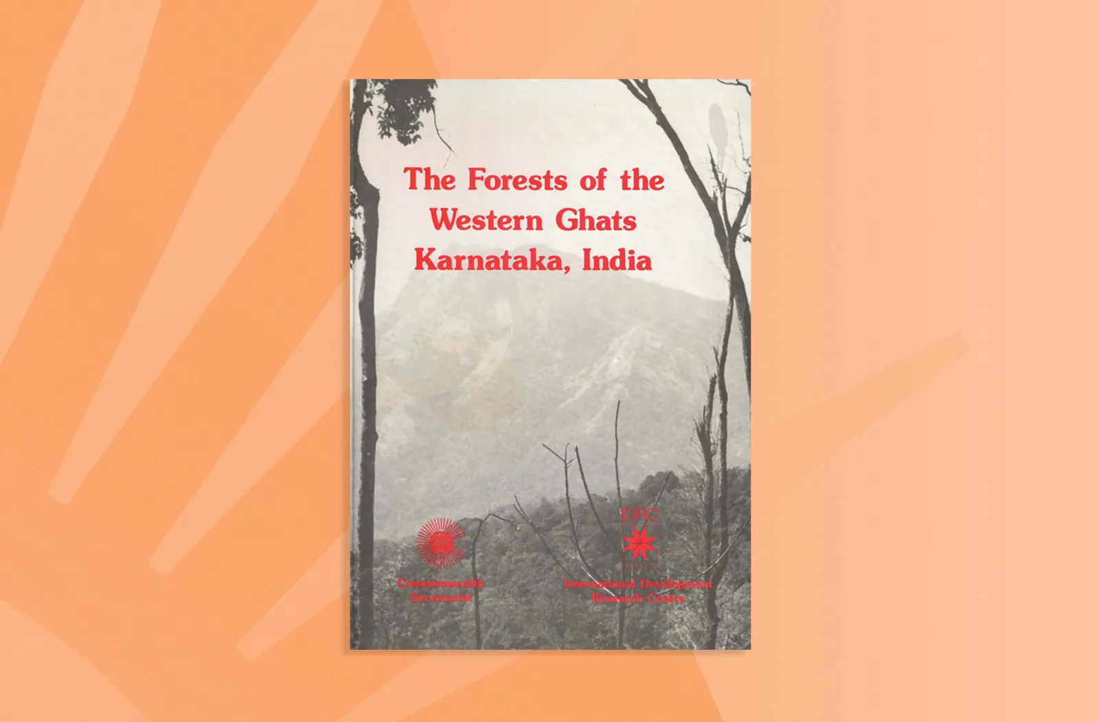 Forest of the Western Ghats, Karnataka, India
