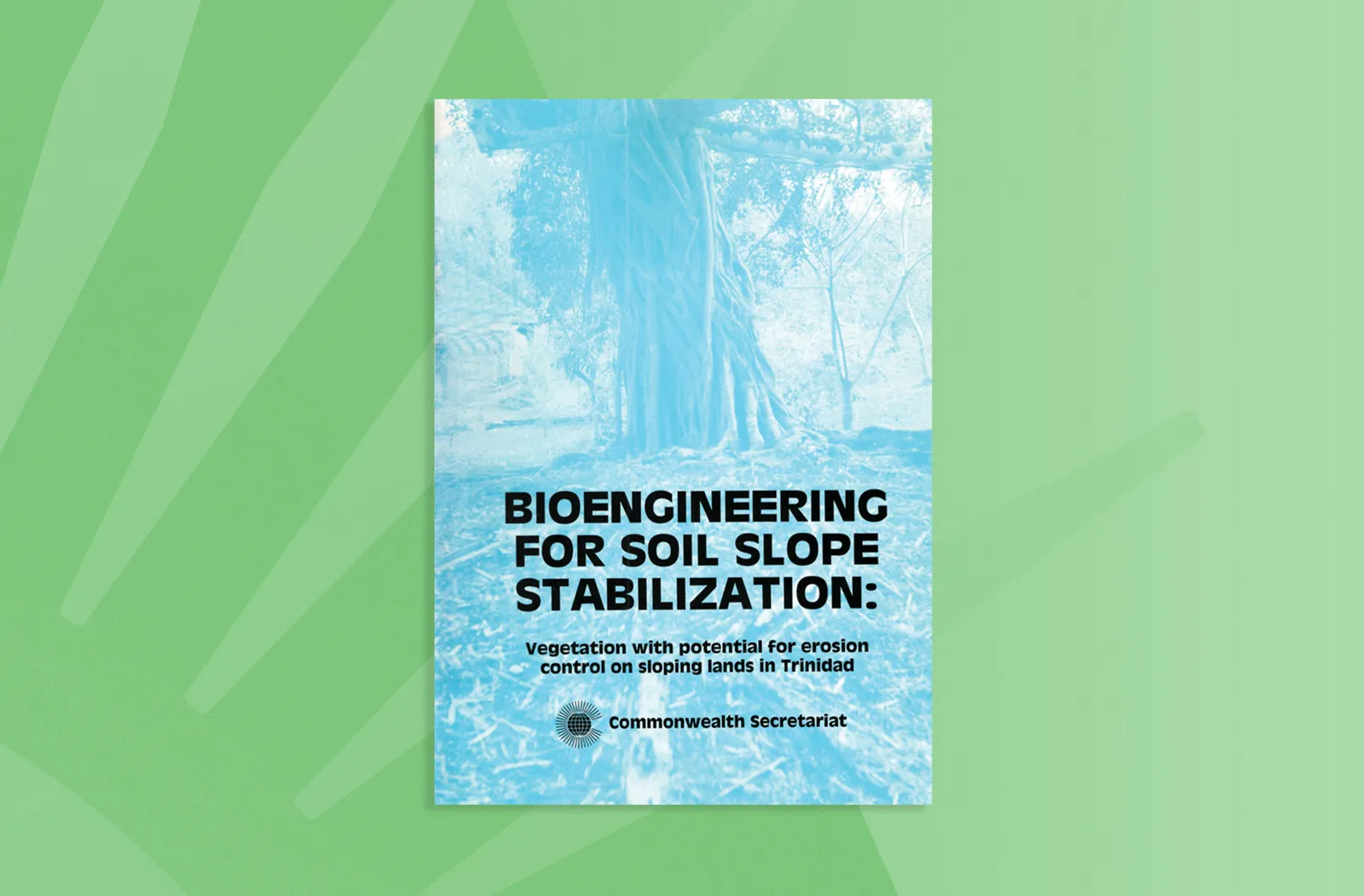 Bioengineering for Soil Slope Stabilisation