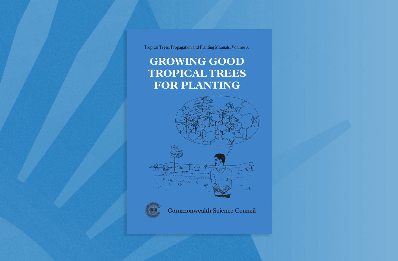 Growing Good Tropical Trees for Planting