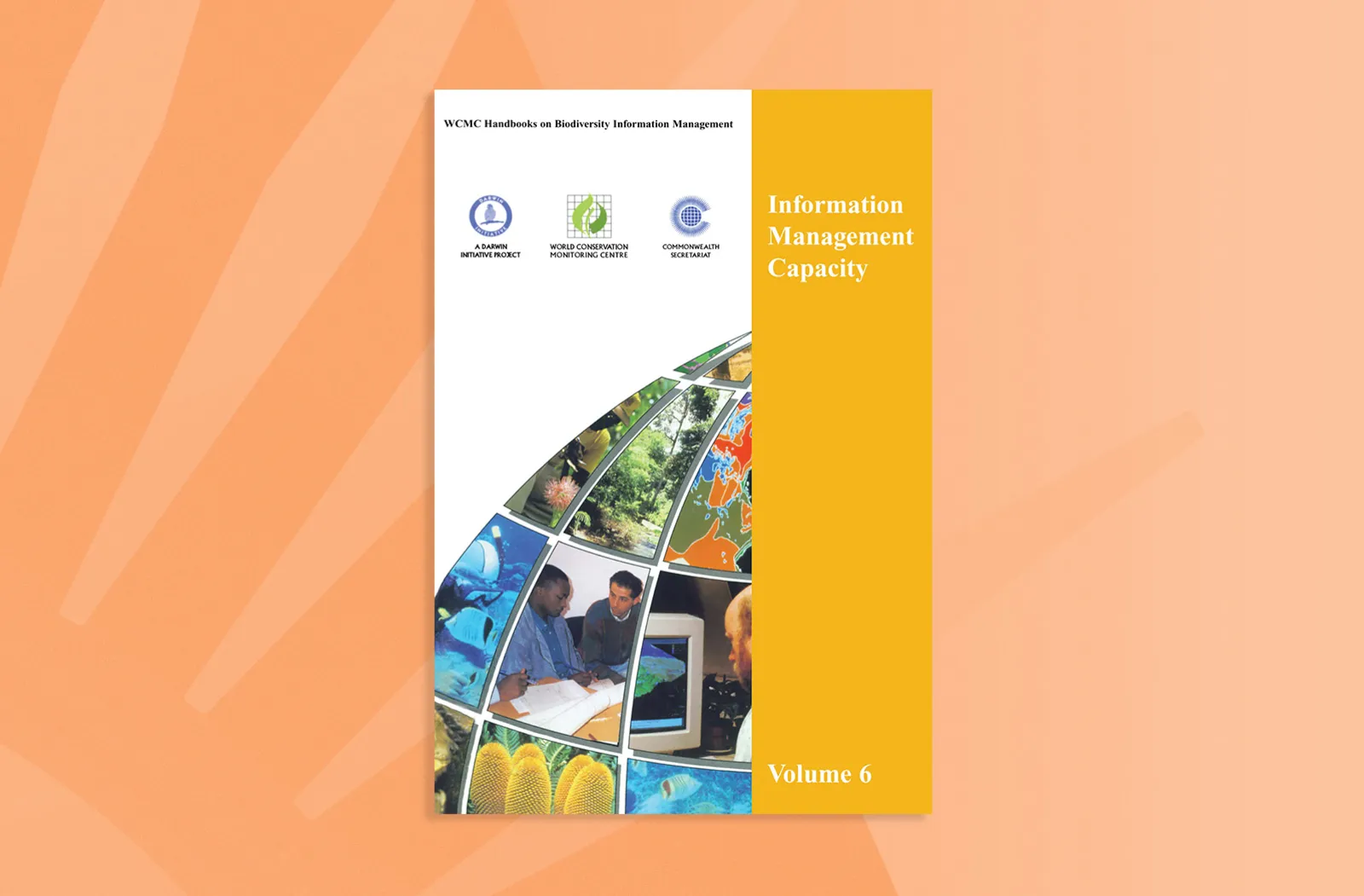 Information Management Capacity, Volume 6