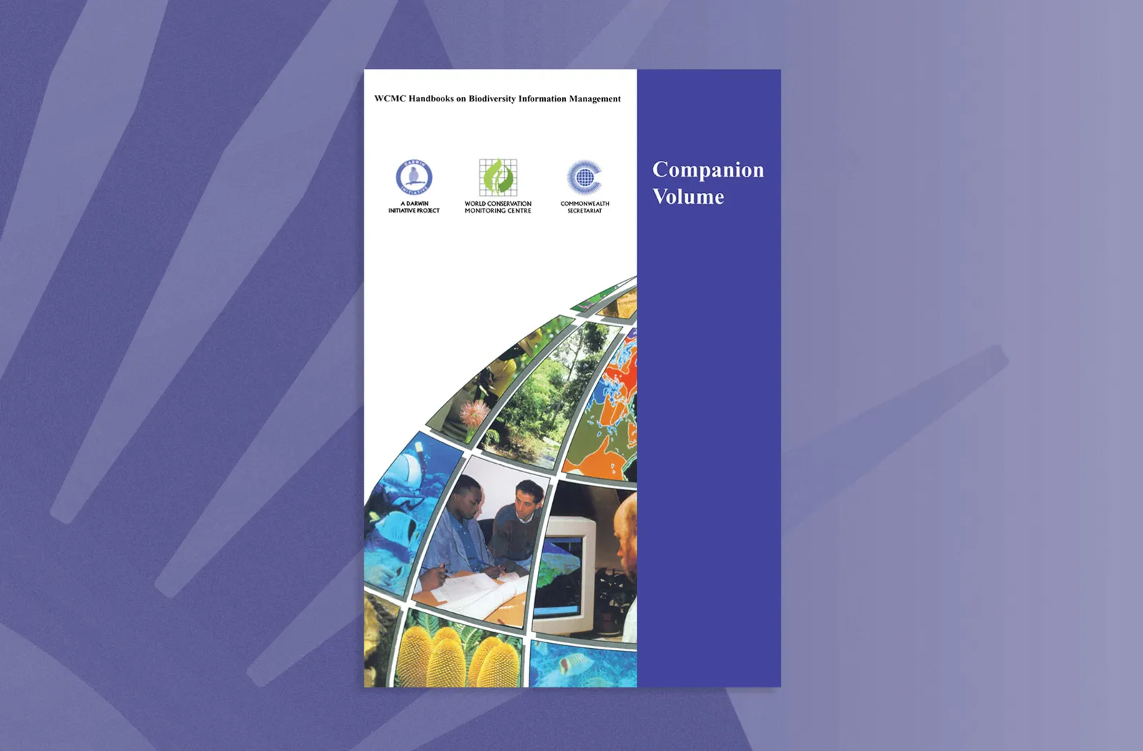 Companion Volume