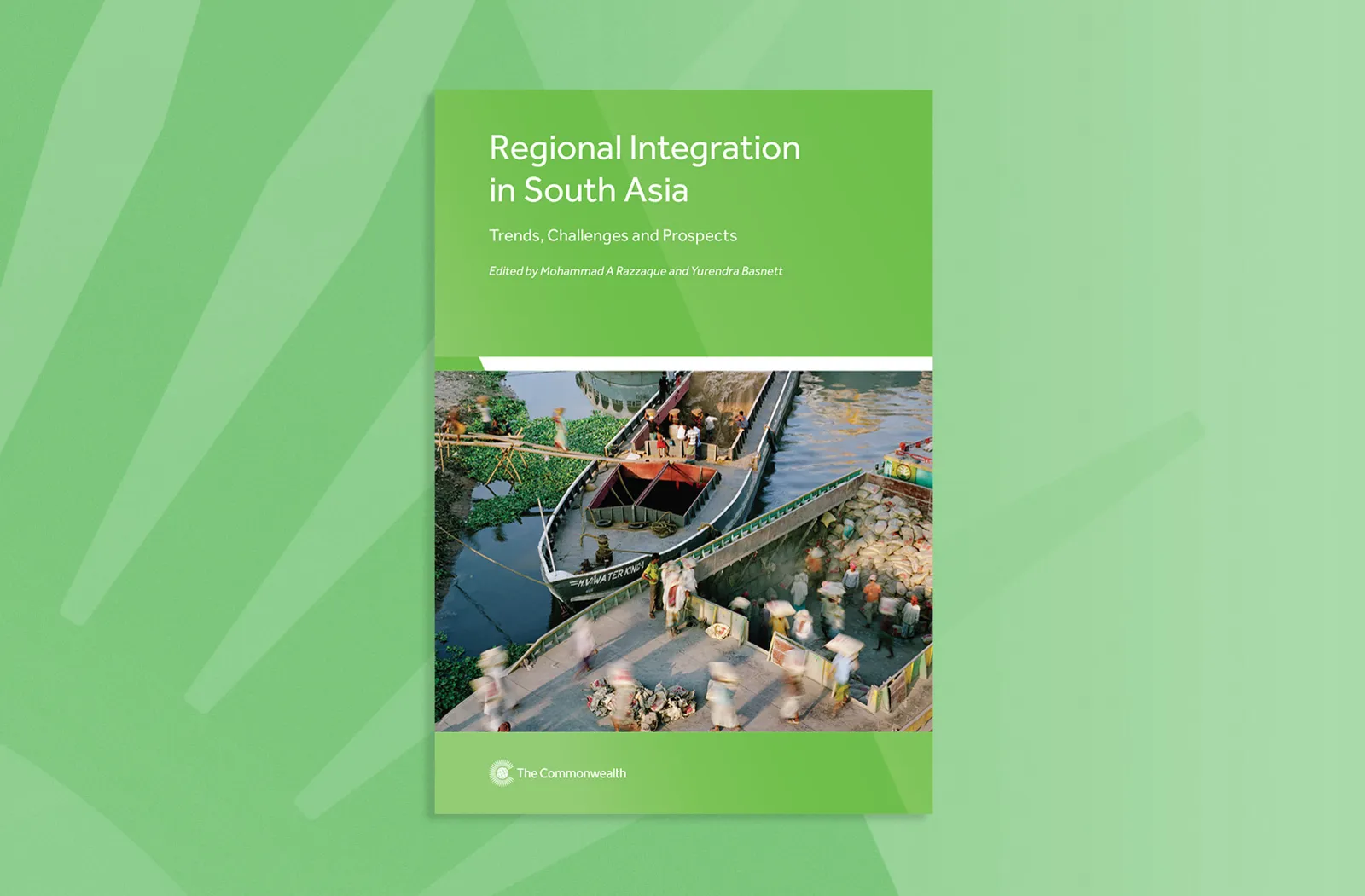 Regional Integration in South Asia