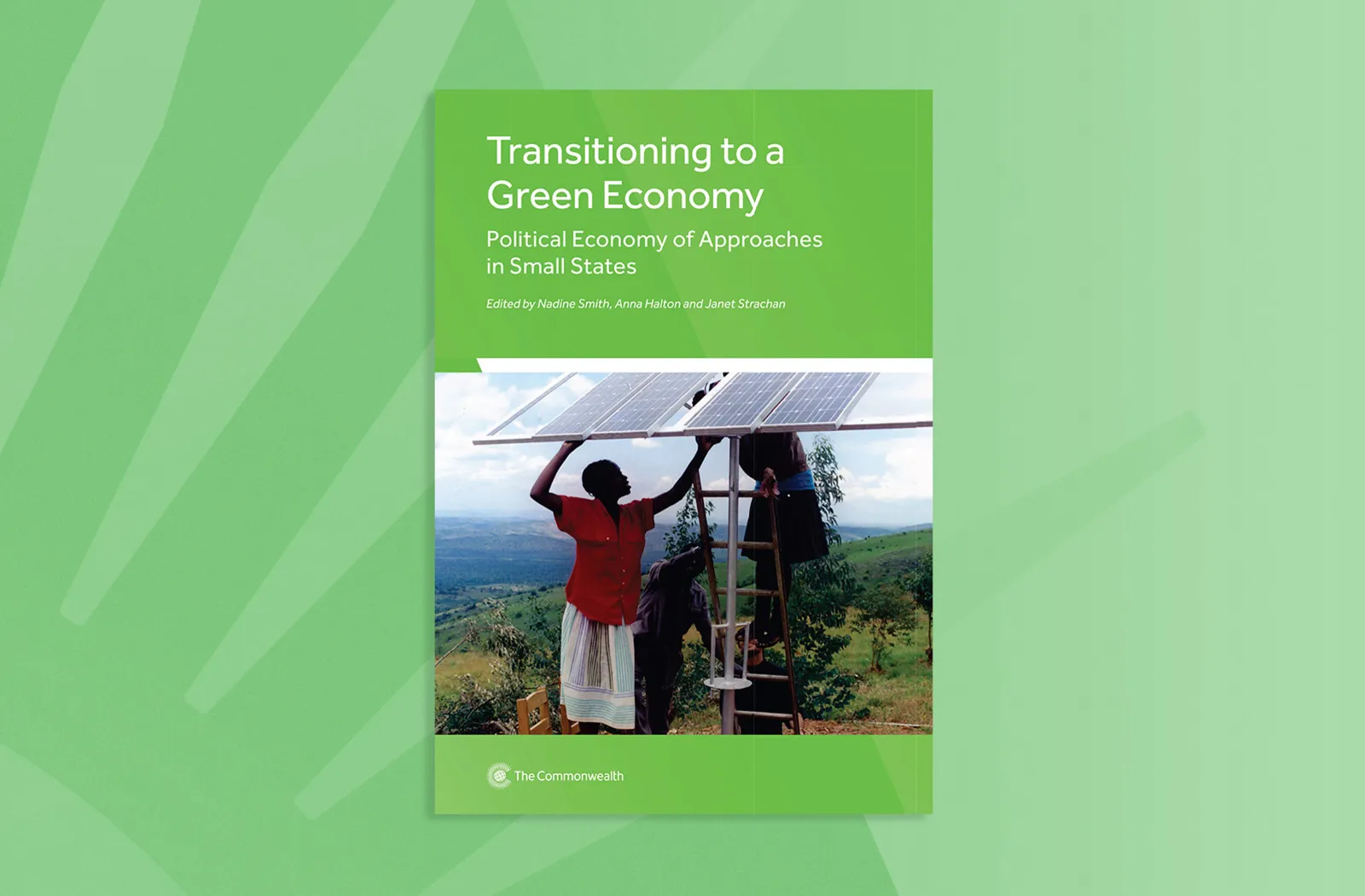 Transitioning to a Green Economy
