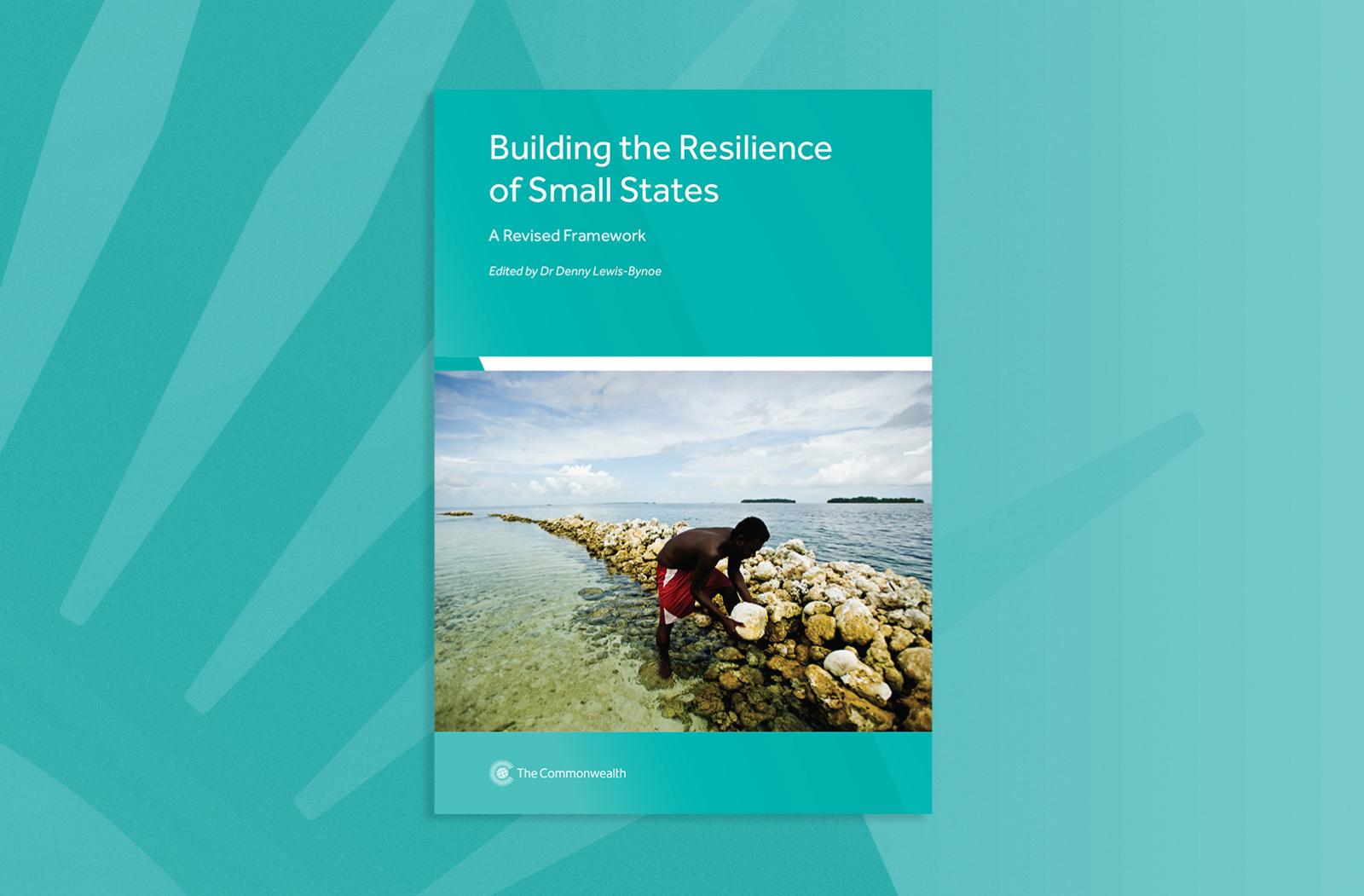Building the Resilience of Small States
