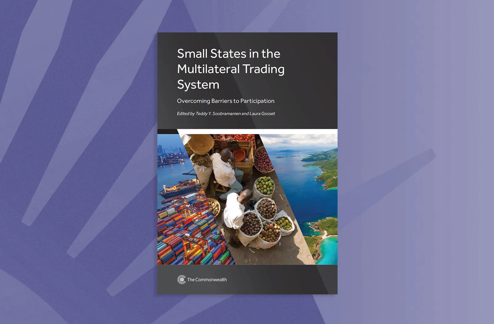 Small States and the Multilateral Trading System