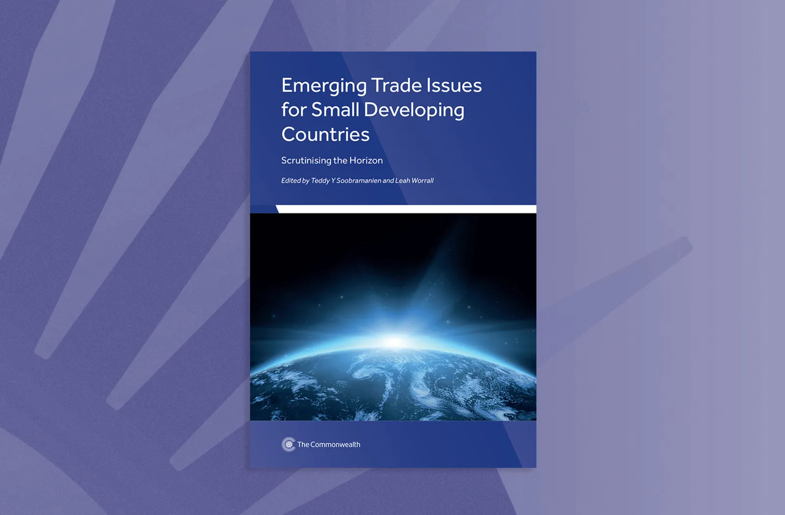Emerging Trade Issues for Small Developing Countries