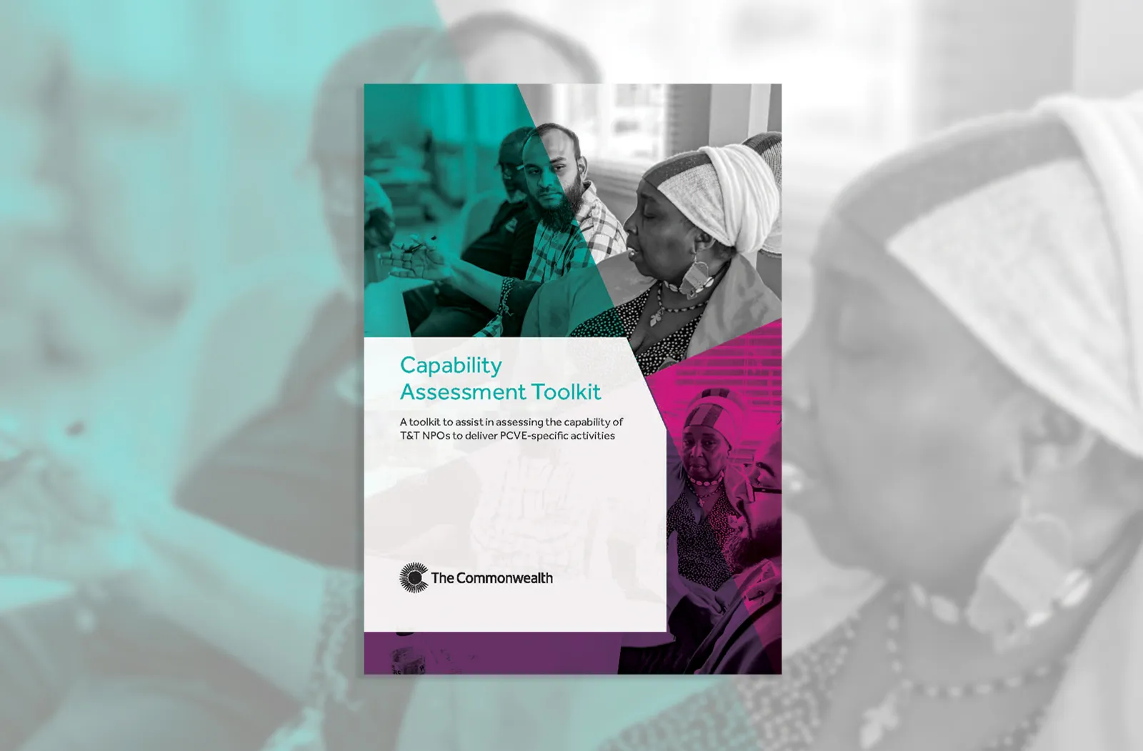 Capability Assessment Toolkit