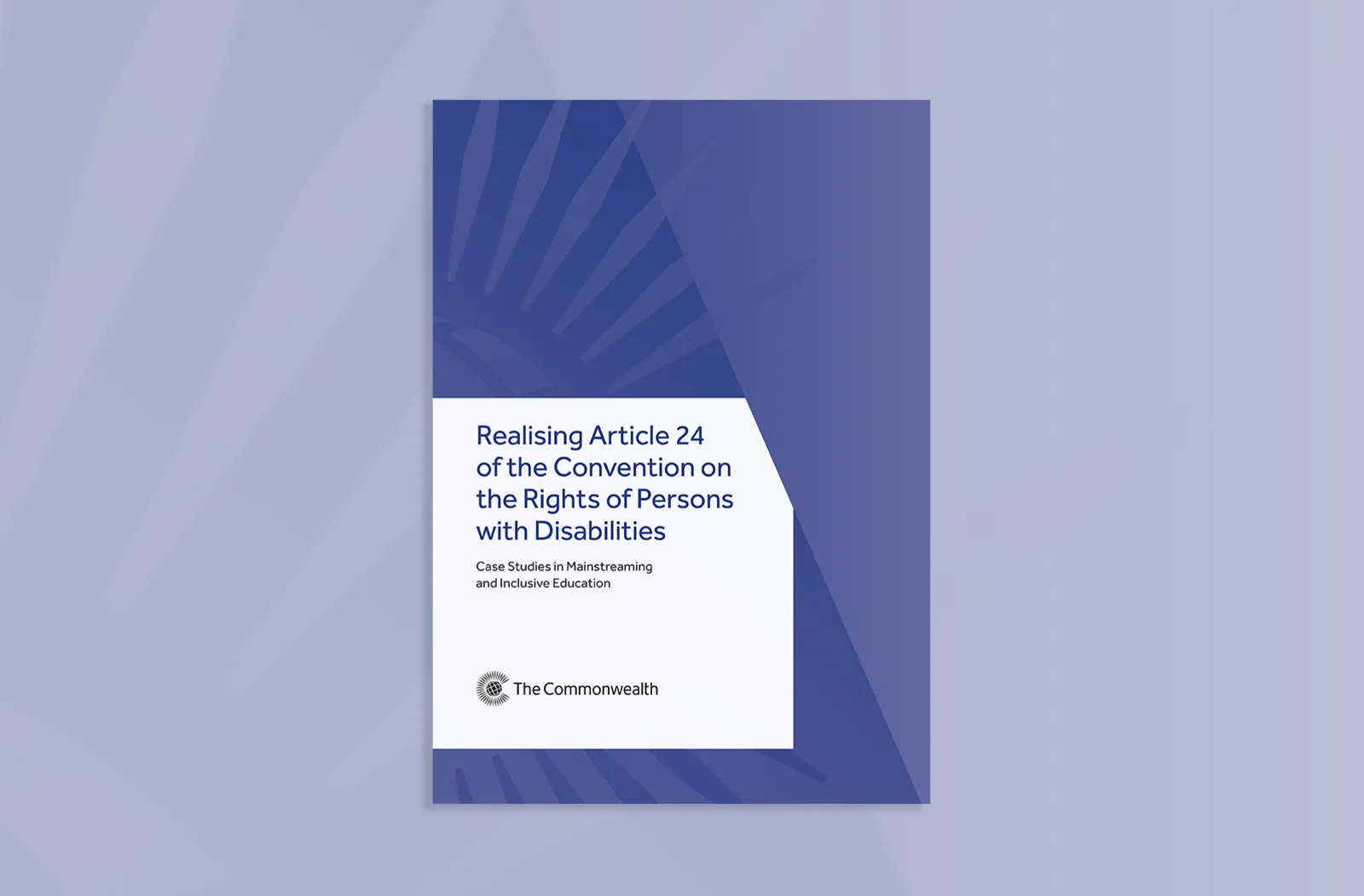 Realising Article 24 of the Convention on the Rights of Persons with Disabilities