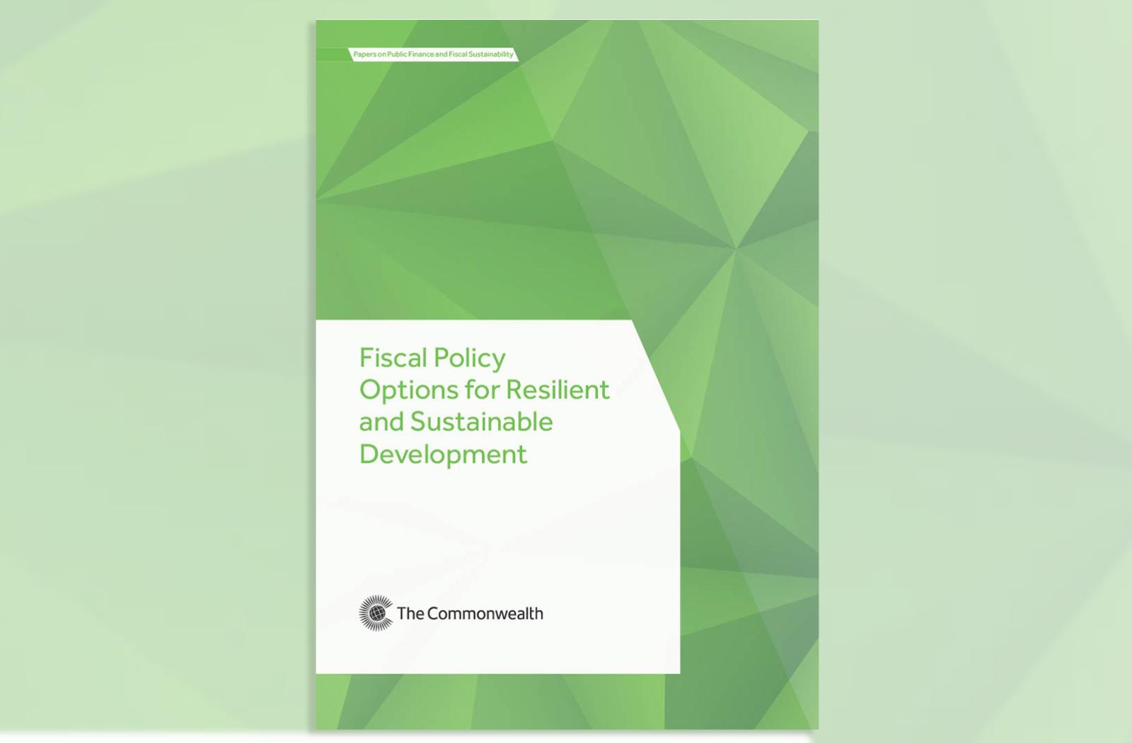 Fiscal Policy Options for Resilient and Sustainable Development