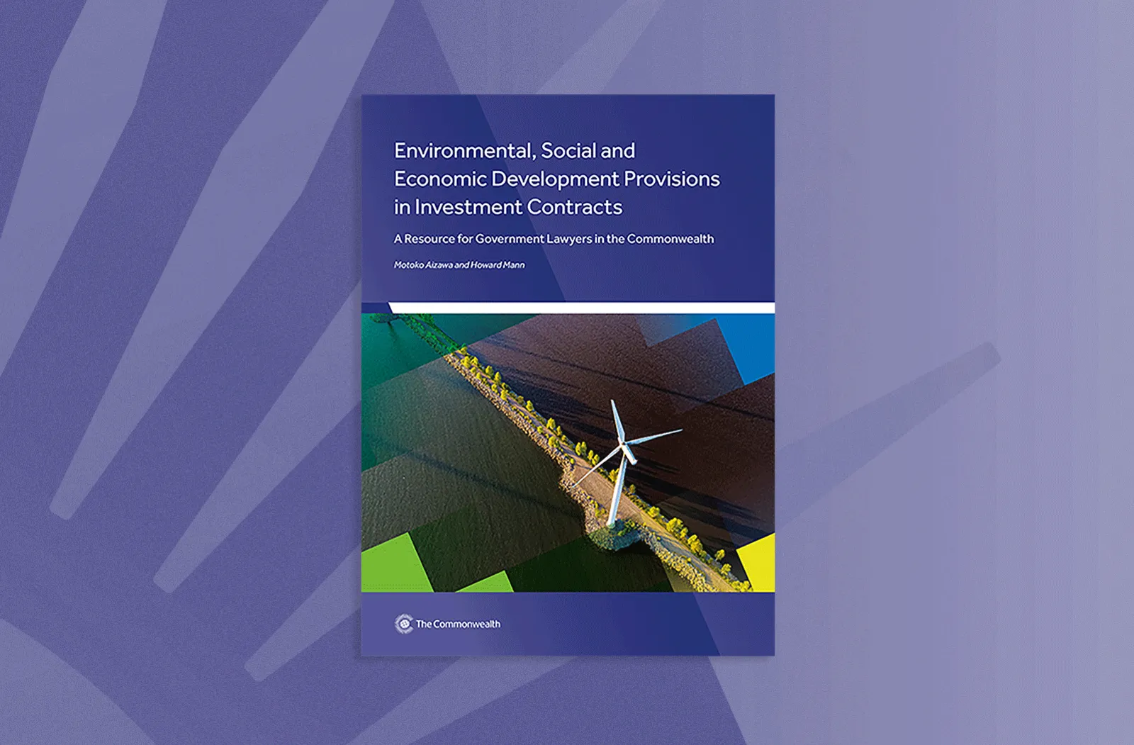 Environmental, Social and Economic Development Provisions in Investment Contracts