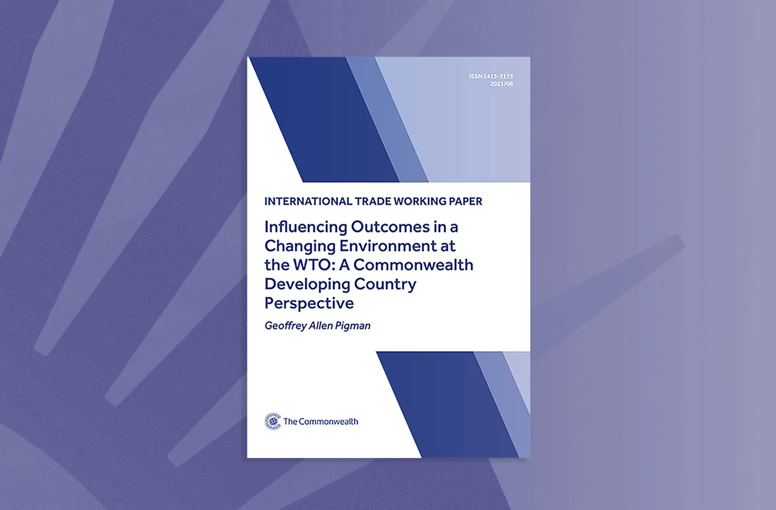 Influencing Outcomes in a Changing Environment at the WTO