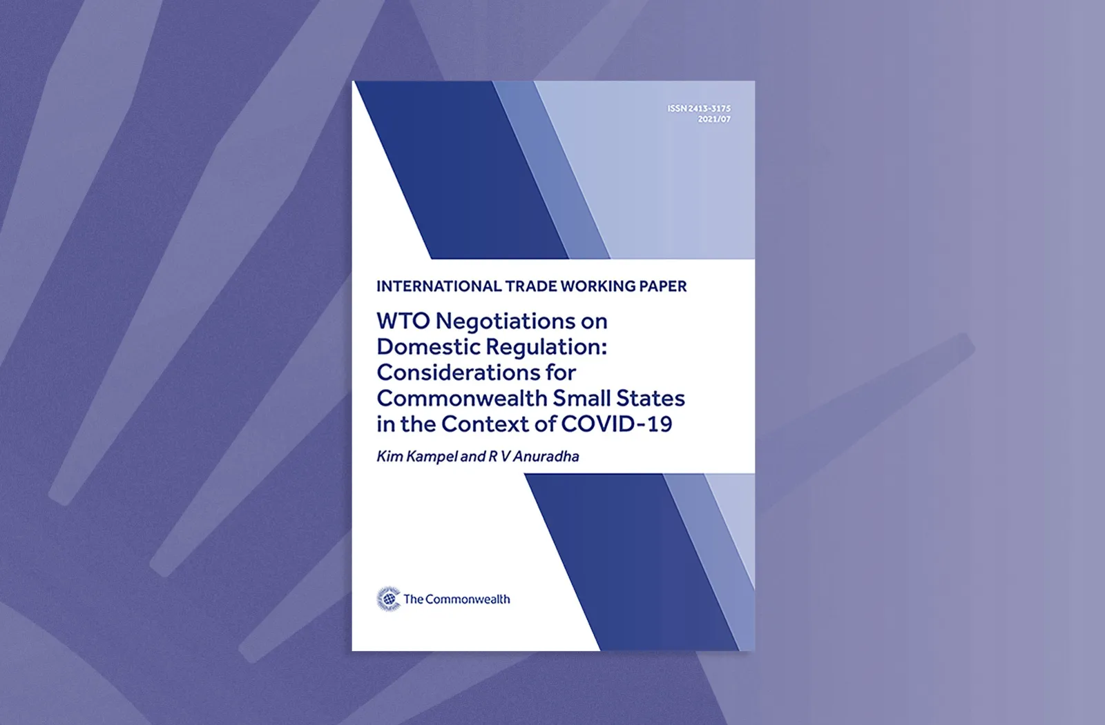 WTO Negotiations on Domestic Regulation