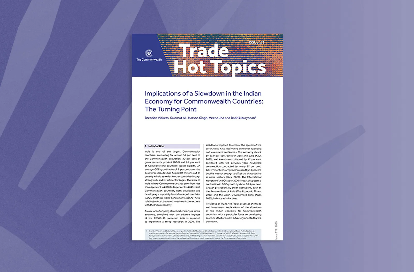Implications of a Slowdown in the Indian Economy for Commonwealth Countries