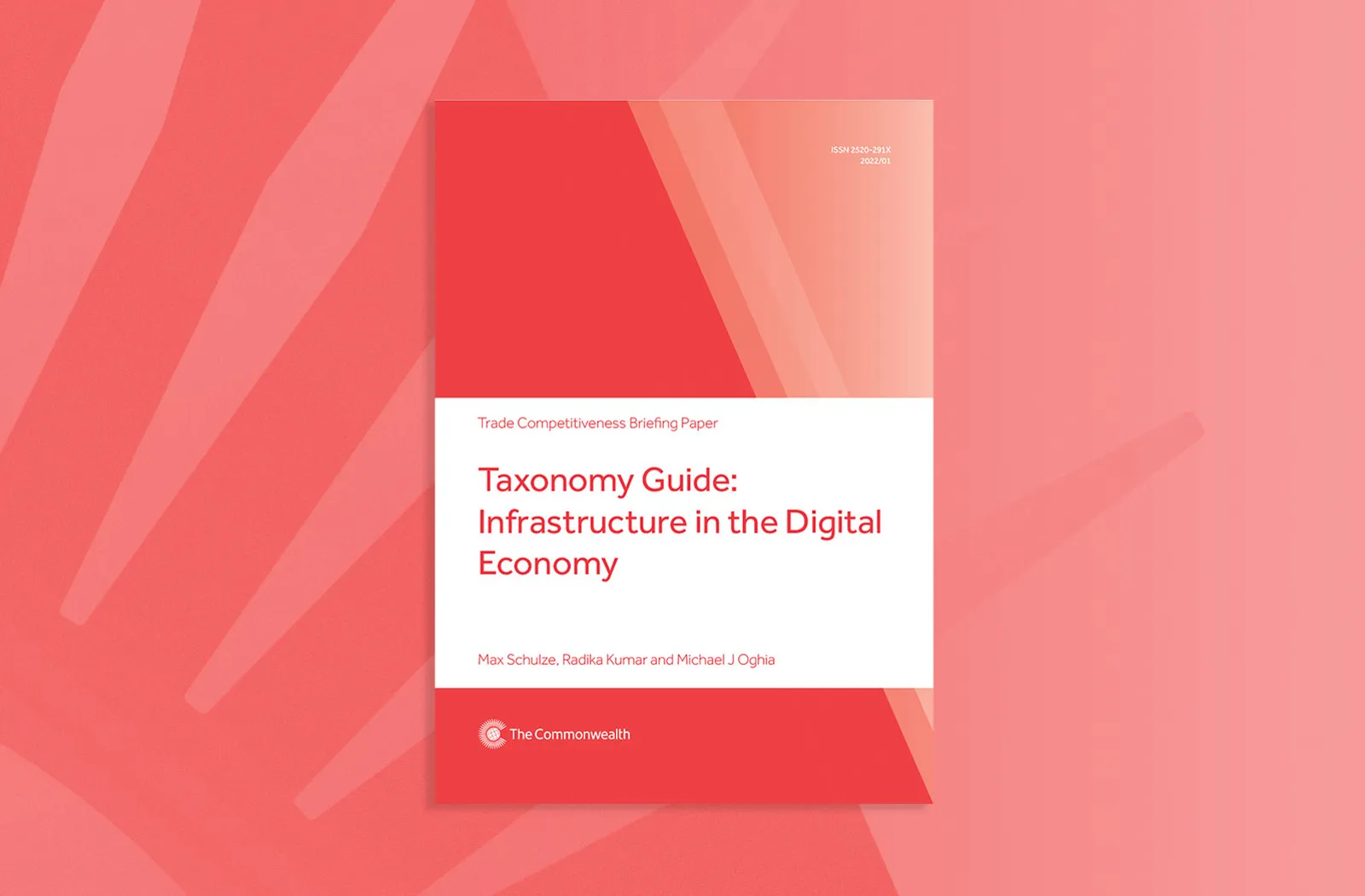 Taxonomy Guide: Infrastructure in the Digital Economy