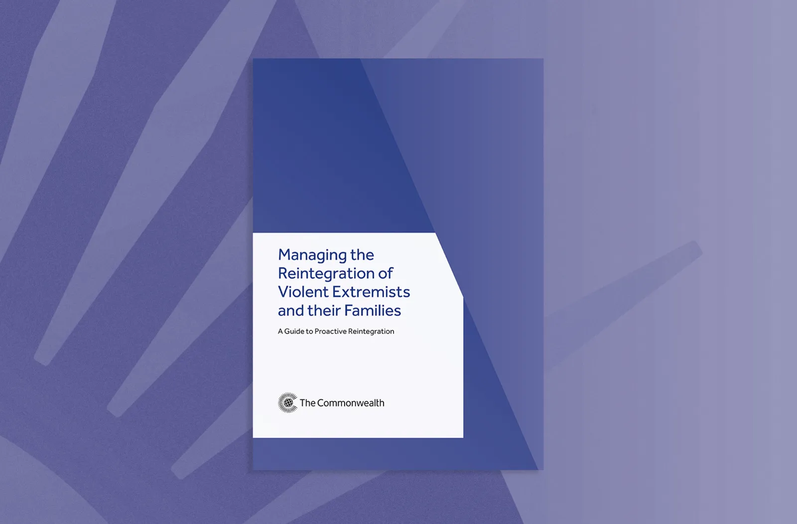 Managing the Reintegration of Violent Extremists and their Families