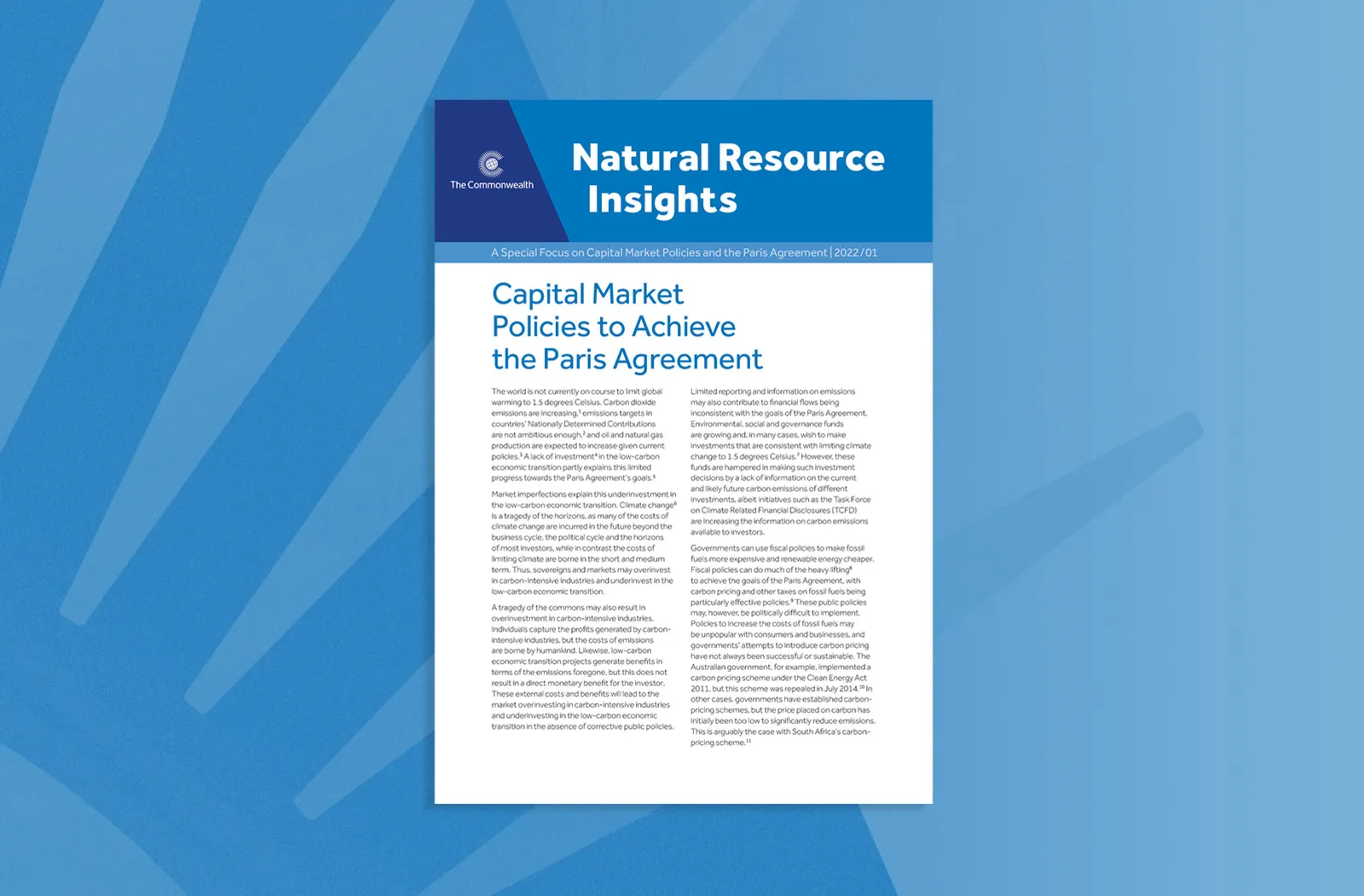 Capital Market Policies to Achieve the Paris Agreement