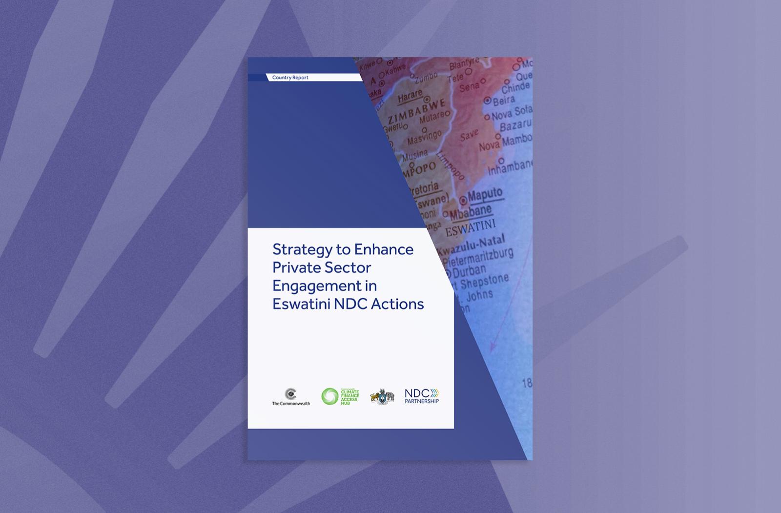Strategy to Enhance Private Sector Engagement in Eswatini NDC Actions