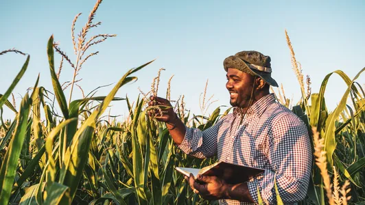 Agriculture and data