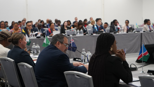 Ministers sit around the table at the 37th Commonwealth Health Ministers Meeting