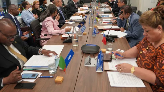 74th Commonwealth Ministerial Action Group meeting