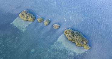 Ariel view of mangroves in Belize 