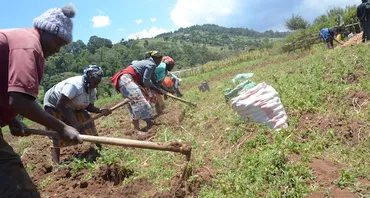 Women farmers in Kenya