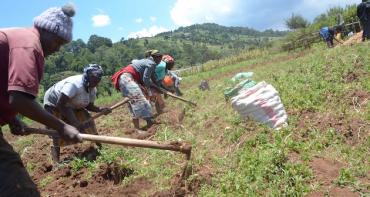 Women farmers in Kenya