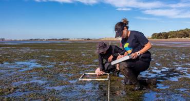 Two people researching on the beach