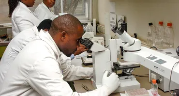 Scientist looking in a microscope