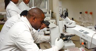 Scientist looking in a microscope