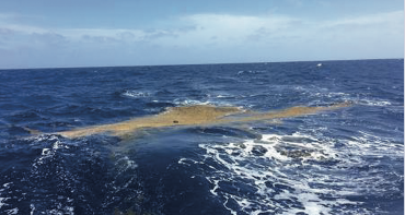 Case Study - Teleconnected SARgassum Risks Across the Atlantic Building Capacity for TRansformational Adaptation in the Caribbean and West Africa (SARTRAC) Jamaica, Saint Lucia, Ghana (ongoing)
