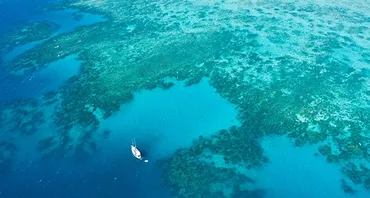 Blue Charter header