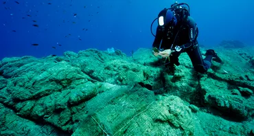 Reef