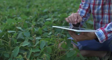 farmer using a tablet