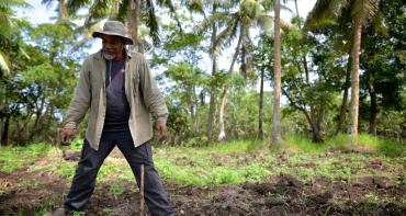 Farmer in tonga