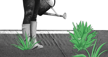 Respect in the Commonwealth Toolkit cover