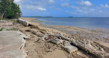 A shoreline in Tonga