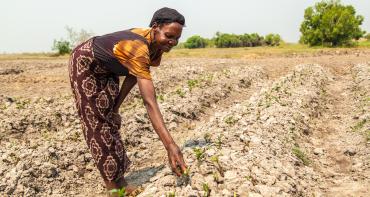 Zambia secures funds for climate adaptation with Commonwealth support