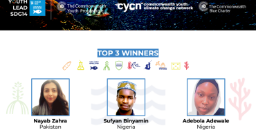 3 Winners