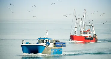 Trolleys on the ocean