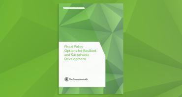 Cover image of the Fiscal Policy Options for Resilient and Sustainable Development paper