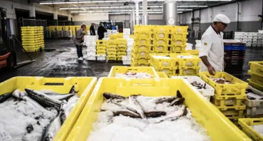 A fish market