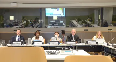 Panel member speaking