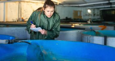 Woman doing scientific research