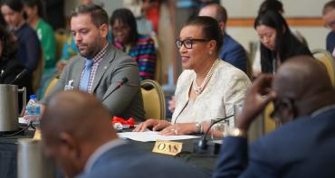 Secretary-General at celebrations