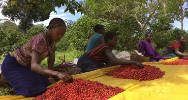 Commonwealth Secretariat launches initiative to support member countries to better manage agricultural data through DPI 