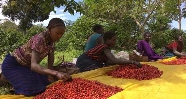 Commonwealth Secretariat launches initiative to support member countries to better manage agricultural data through DPI 