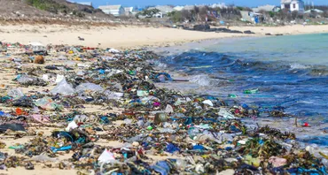 Garbage on Beach