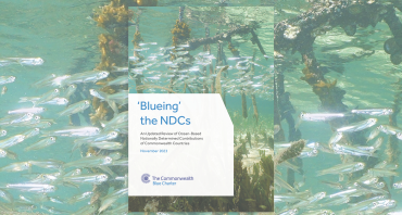 Cover image of Blueing the NDCs - update