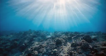 Ocean Acidification